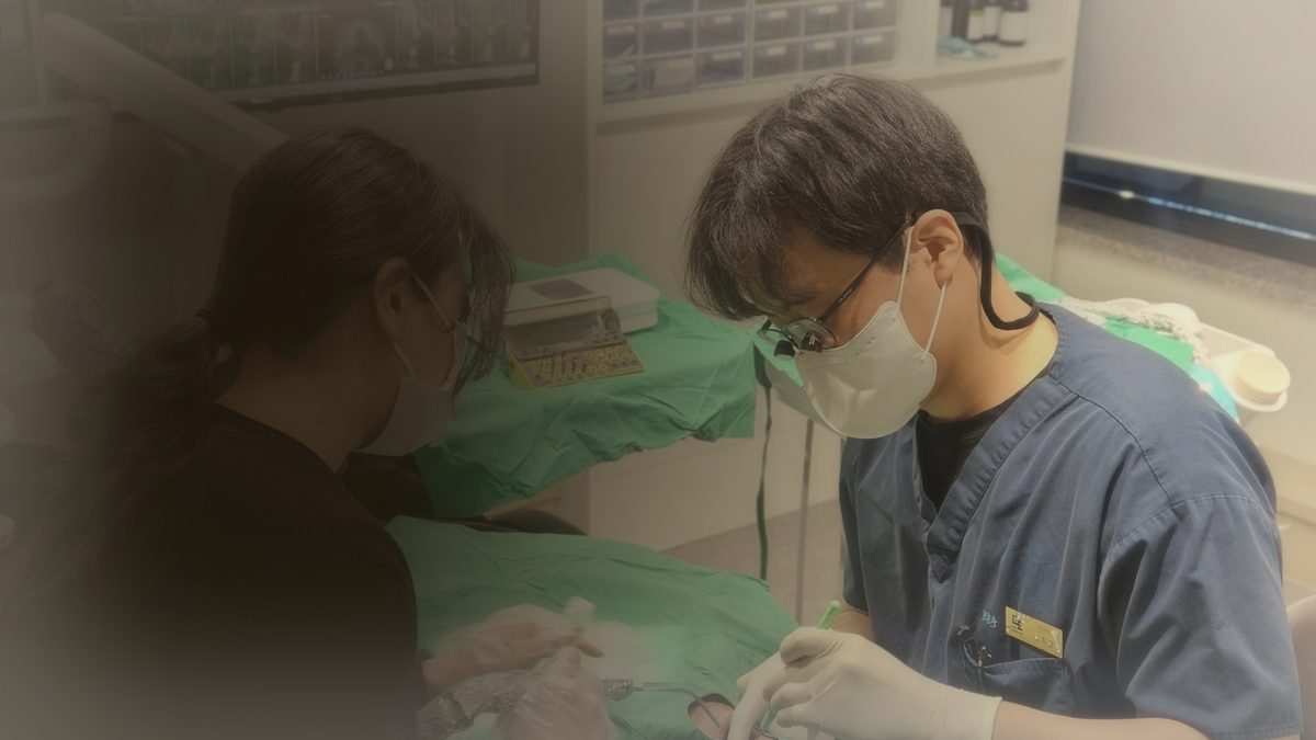 연세더튼튼치과 임플란트 진료 장면